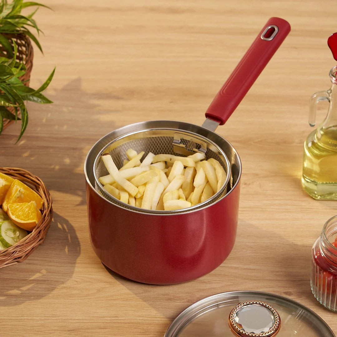 Multi-Function Stainless Steel Premium Fryer