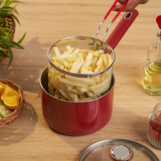 Multi-Function Stainless Steel Premium Fryer