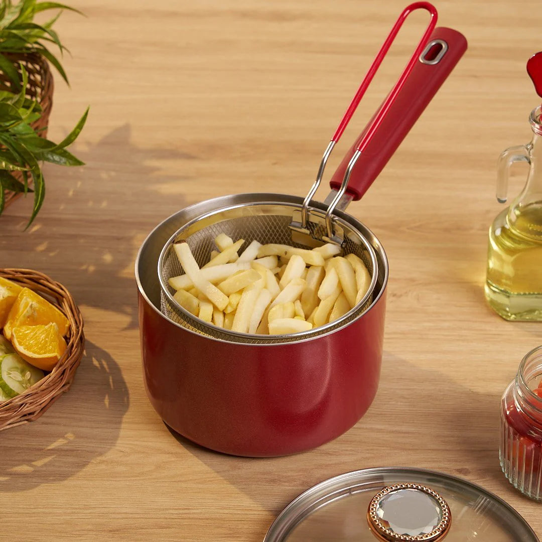 Multi-Function Stainless Steel Premium Fryer